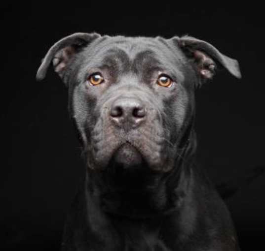 Photo of Chloe