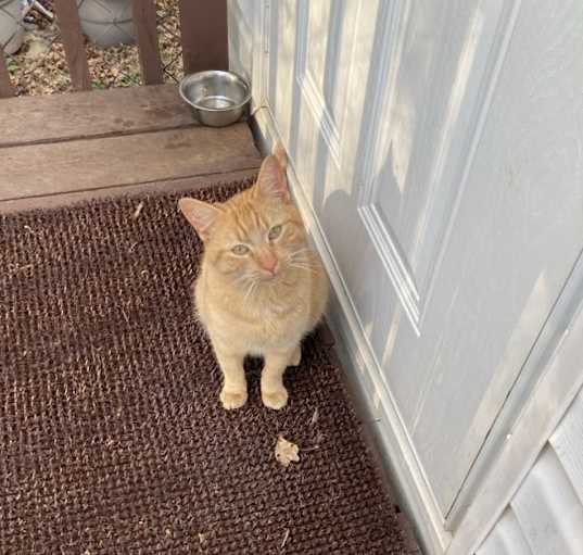 Photo of Garfield