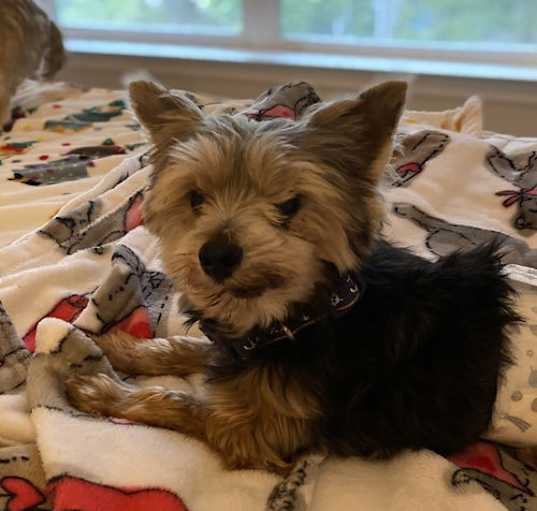 Photo of Nikko