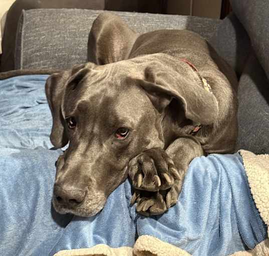 Photo of Gretchen