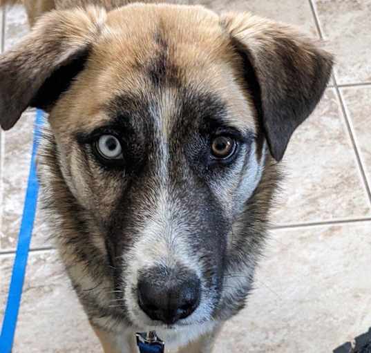 Photo of JAX