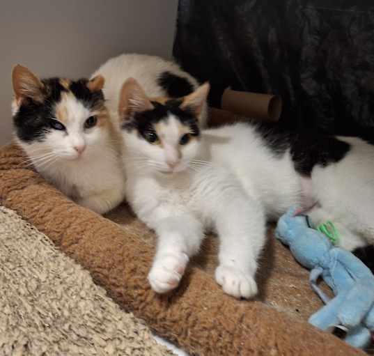 Photo of Coco and Mommy Mary