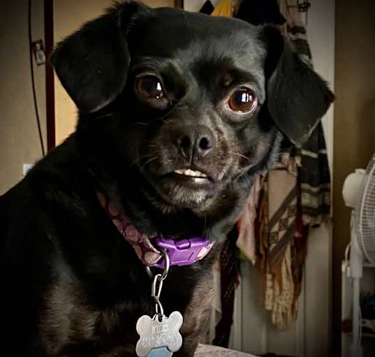 Photo of Heidi