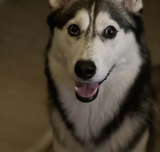 Photo of Mindy