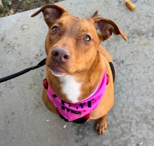 Photo of Cloe