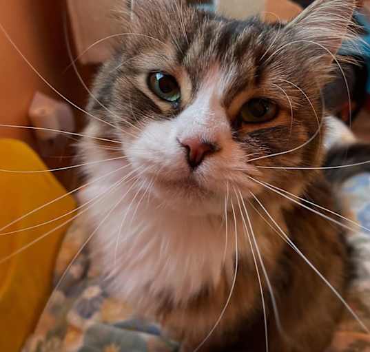 Photo of Tabitha