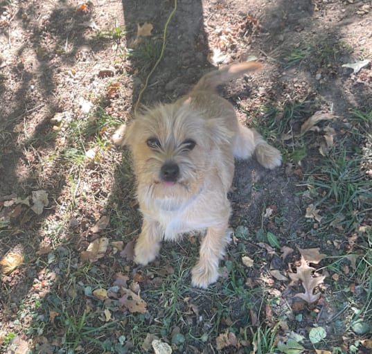 Photo of Bentley
