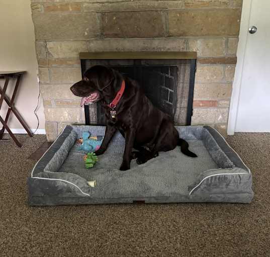 Photo of Tank