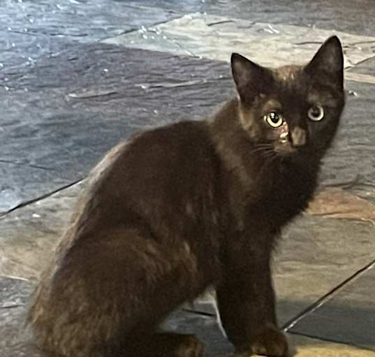 Photo of Sandy