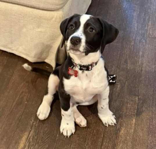 Photo of Percy
