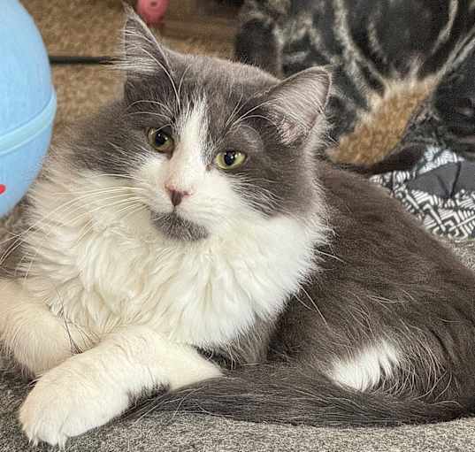Photo of Donny