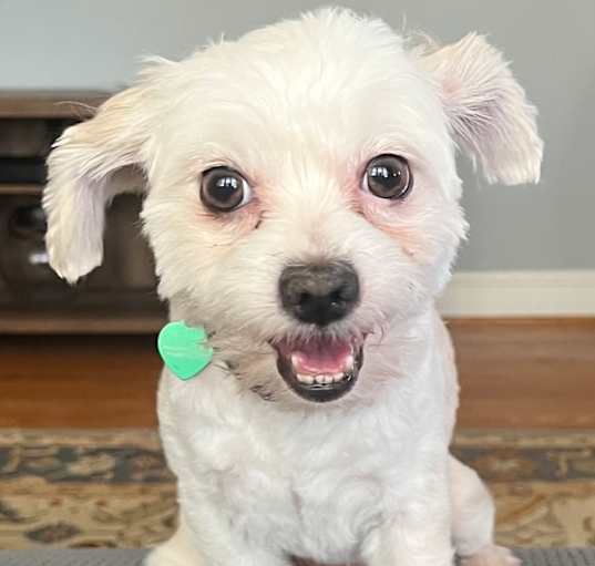 Photo of KASH