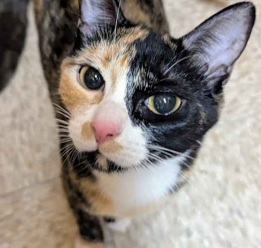 Photo of Samantha