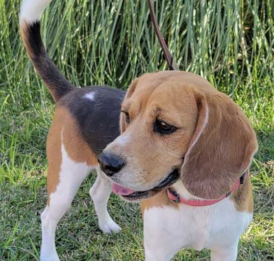Photo of Bentley