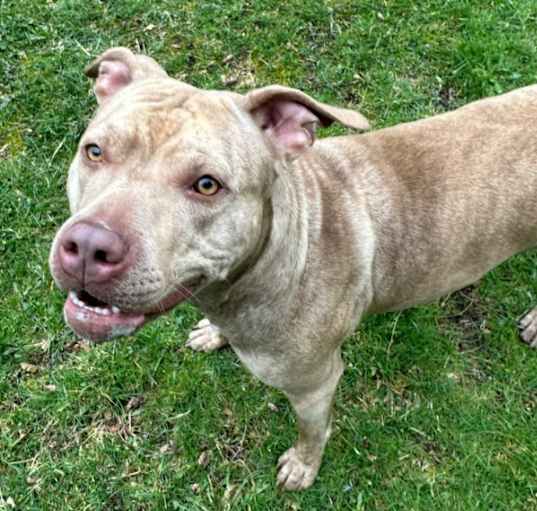 Photo of Rosie
