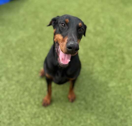 Photo of Nova-New Photos