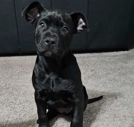 Photo of Thelma