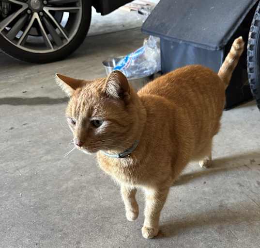Photo of Jack