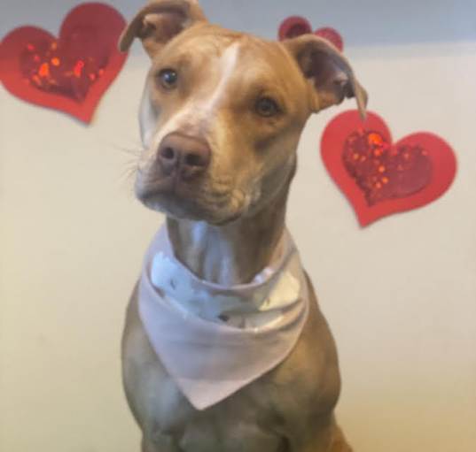 Photo of Aggie (Agnes)