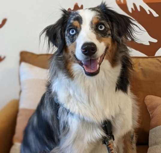 Photo of Finn