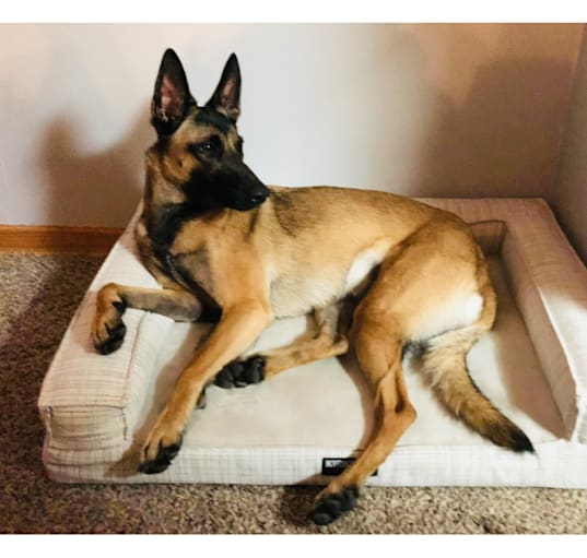 Photo of Leia