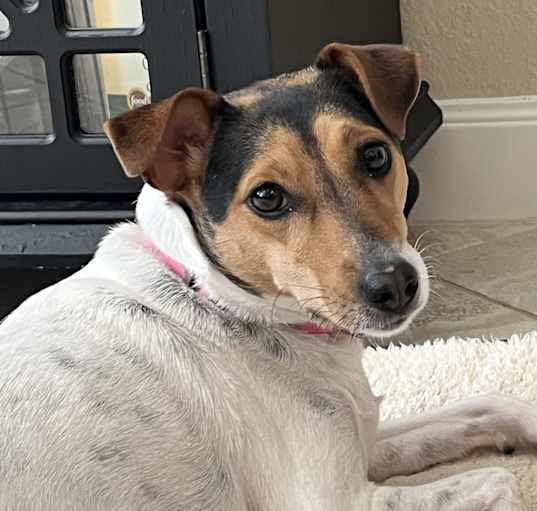 Photo of Hallie in Houston