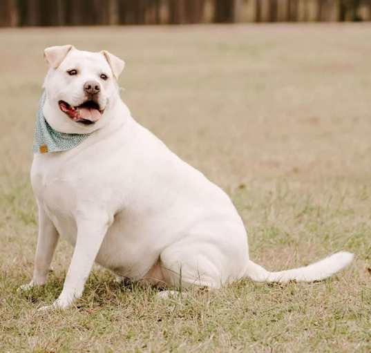 Photo of Mabel