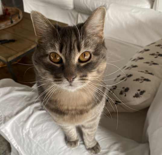 Photo of Mimi