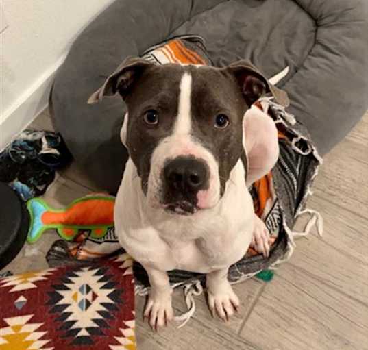 Photo of ROWDY