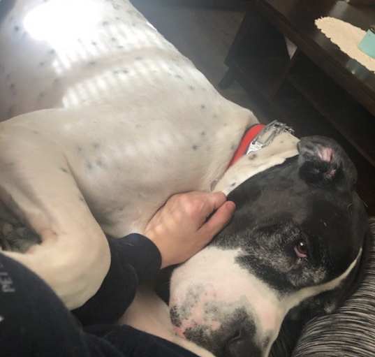 Photo of Duke