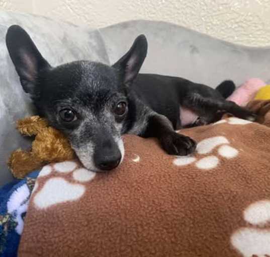 Photo of Baby Girl