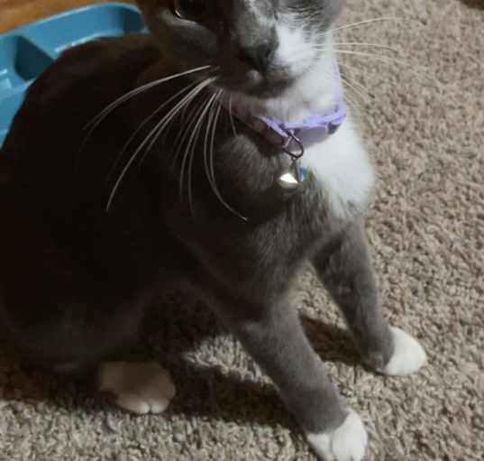 Photo of Momma