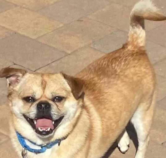 Photo of Louie