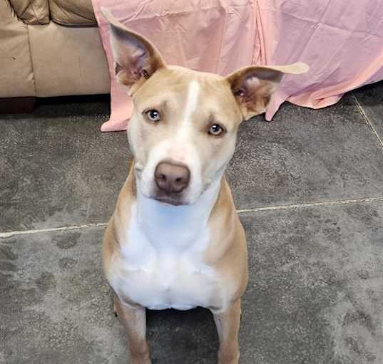 Photo of BELLE