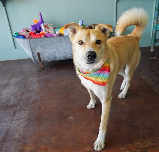 Photo of Ralphie
