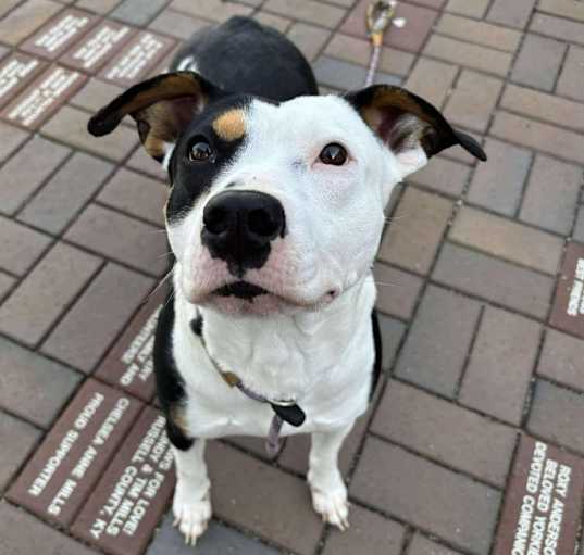 Photo of Holly