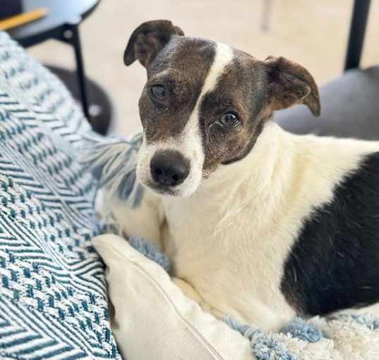Photo of Dobbie Rebyl