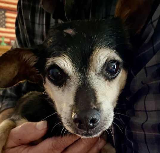 Photo of Rudy