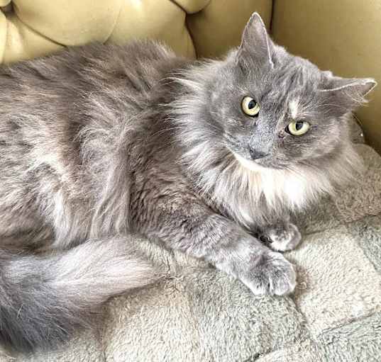 Photo of Evangeline