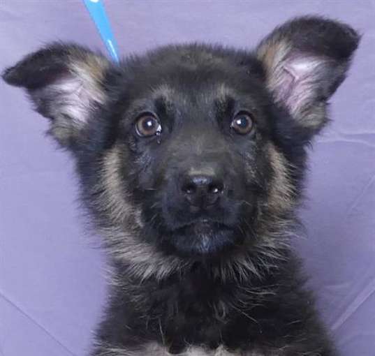 Photo of STORMY
