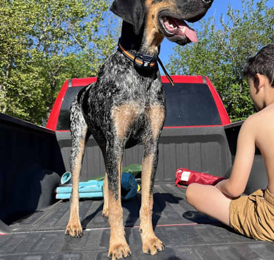 Photo of Ragnar
