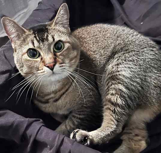 Photo of Maya