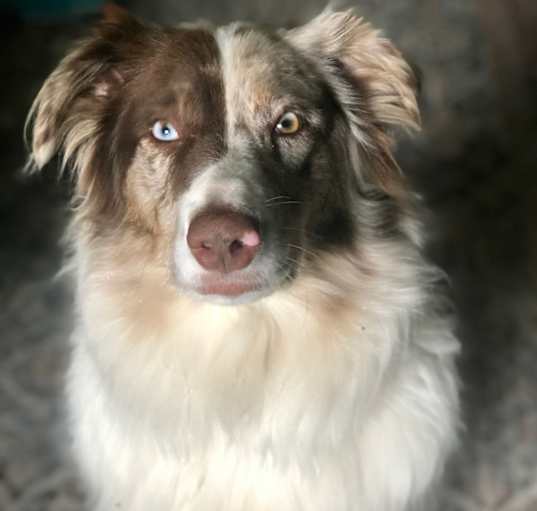 Photo of Fynn