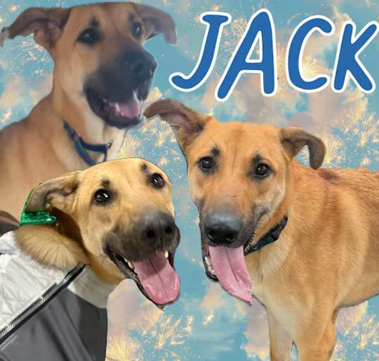 Photo of Jack