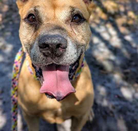 Photo of FRITO