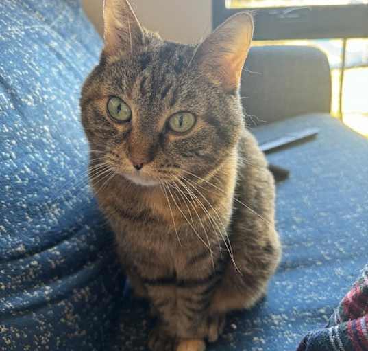 Photo of Nala