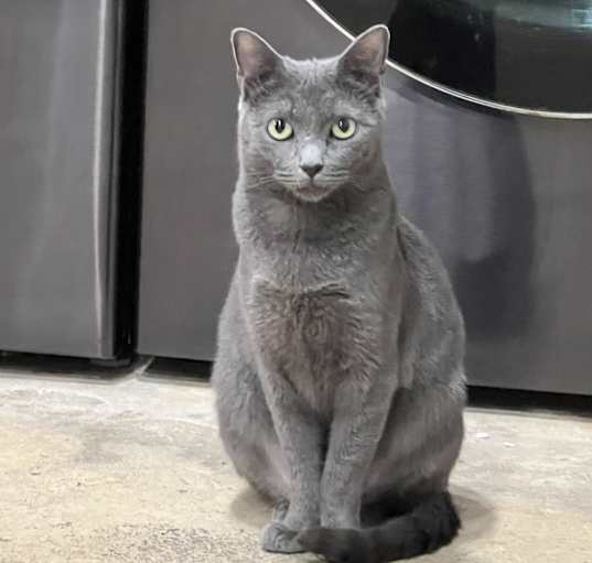 Photo of Astra