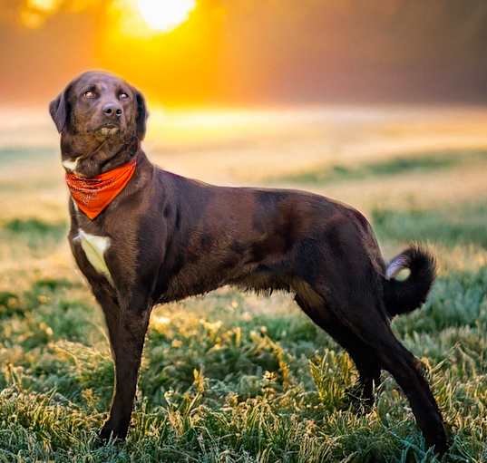 Photo of Topher