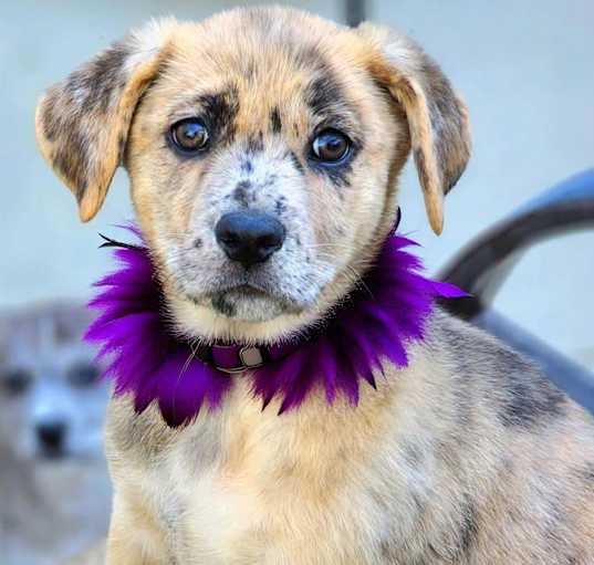Photo of Windy