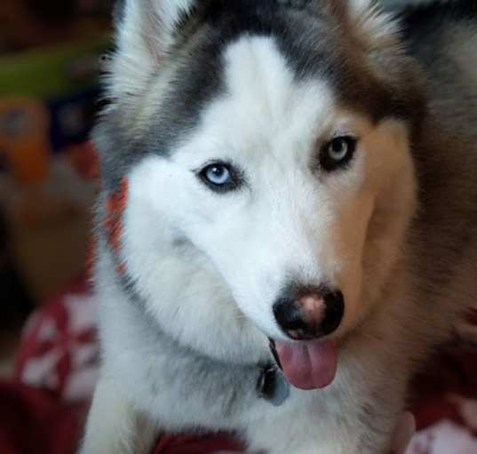 Photo of Yuna